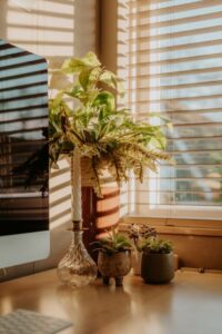 resized_109263
